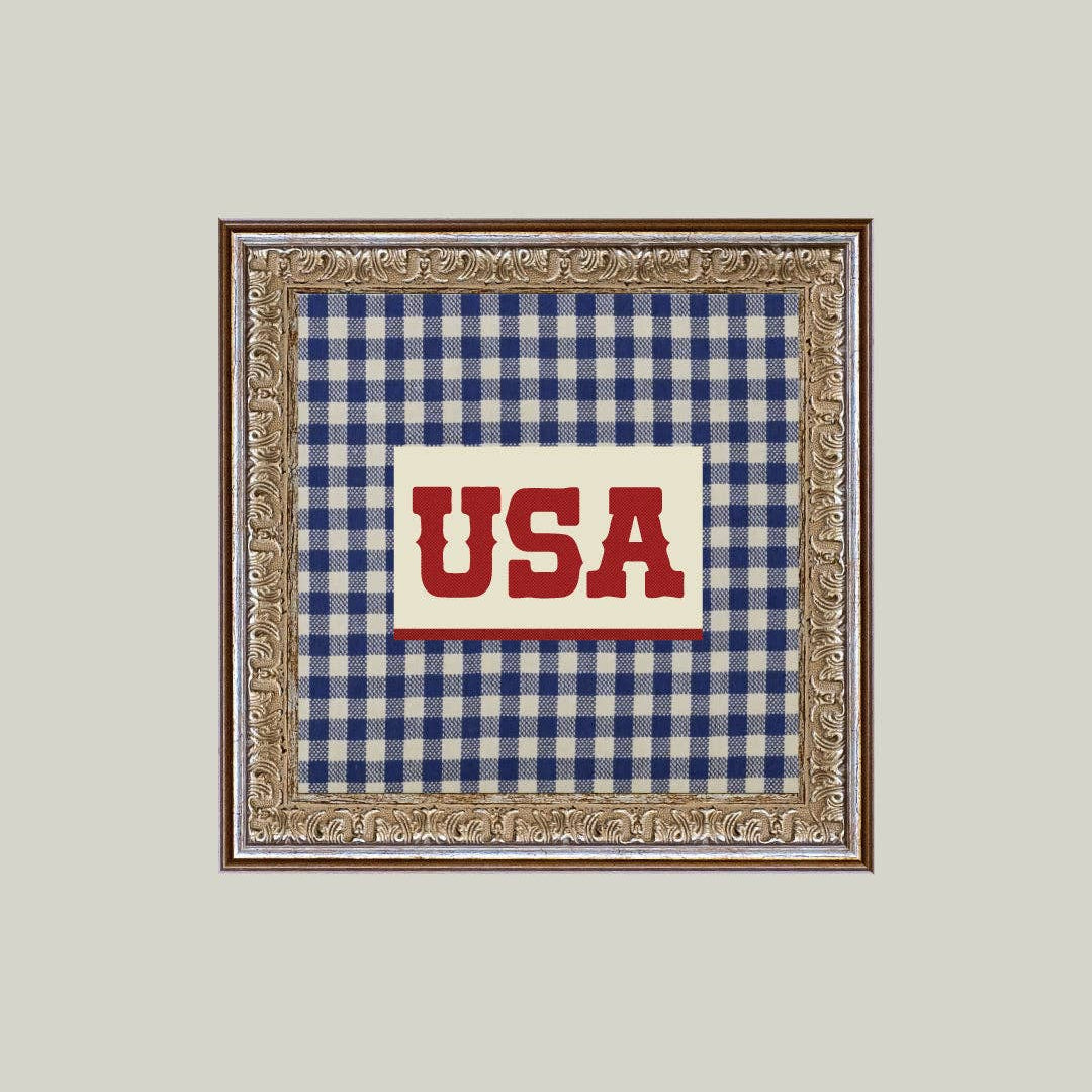 Framed picture with blue checkered fabric and 'USA' text on a light gray background