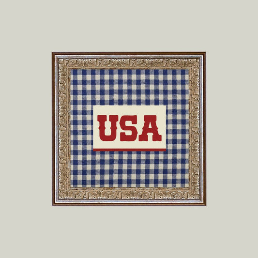 Framed picture with blue checkered fabric and 'USA' text on a light gray background