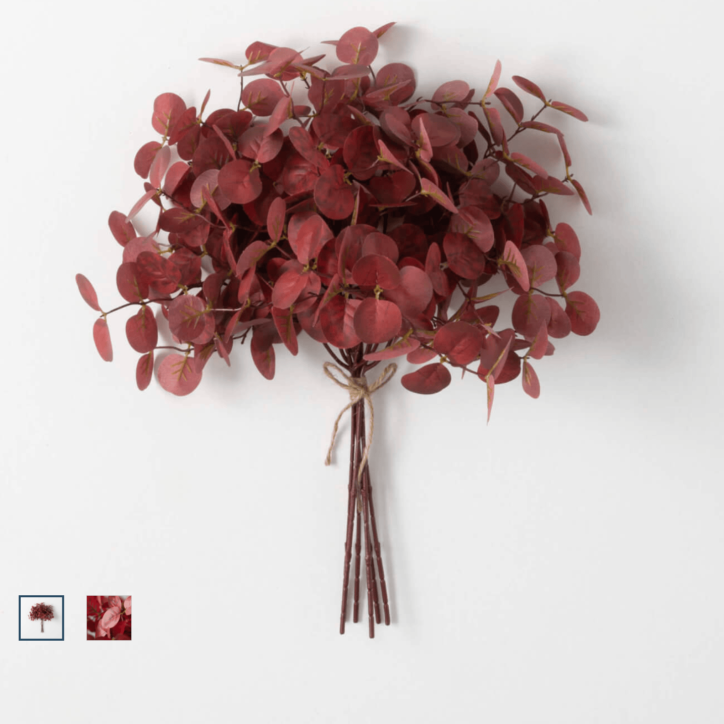 Red Eucalyptus Bundle 12" - Dried & Preserved Greenery