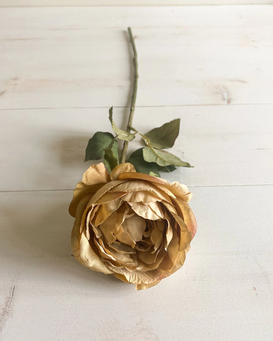 Beige and Mauve Garden Rose Stem