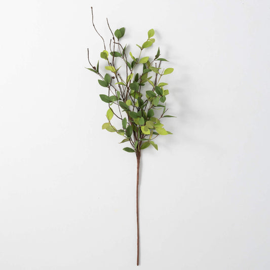 Ruscus Leafy Twig Spray 31"