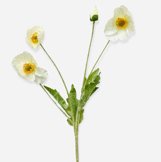 white-poppy-spray